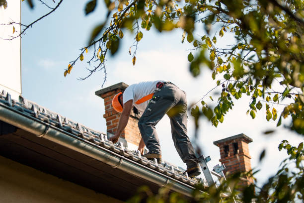 Best Roof Gutter Cleaning  in Colleyville, TX